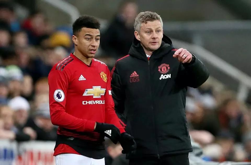 他們追逐姆 他們追逐姆